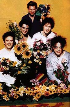 The Cure with sunflowers
